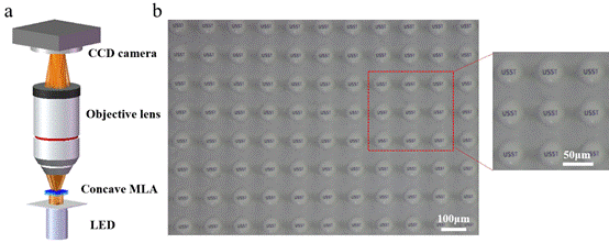 说明:E:\Research\0 Lens\Micolens array\Xu Qiao\OE\R1\Submission\Fig 6.tif